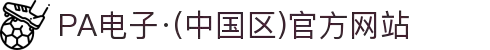 PA电子·(中国区)官方网站